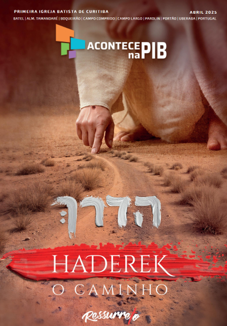 Informativo Acontece PIB | Novembro 2024